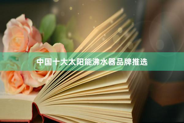 中国十大太阳能沸水器品牌推选
