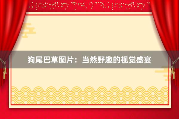 狗尾巴草图片：当然野趣的视觉盛宴