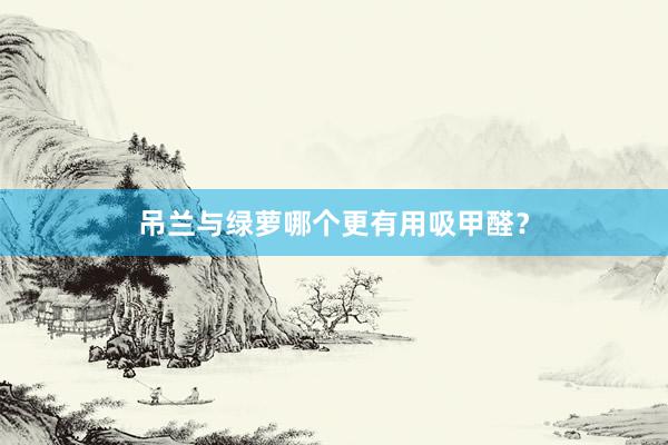 吊兰与绿萝哪个更有用吸甲醛？