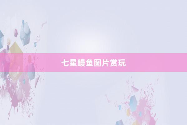 七星鳗鱼图片赏玩